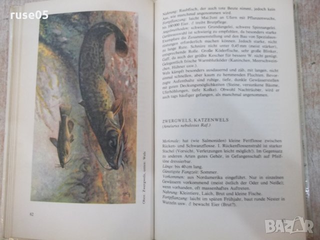 Книга "FISCHKUNDE FÜR ANGLER - WOLFGANG ZEISKE" - 160 стр., снимка 6 - Енциклопедии, справочници - 25536754