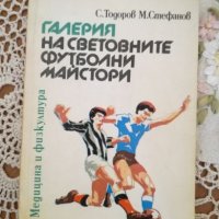 Галерия на световните футболни майстори, снимка 1 - Художествена литература - 19708453