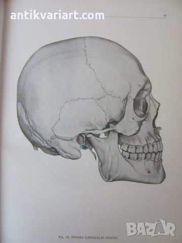 1971г. Медицинска Книга Анатомичен Атлас Том1-ви, снимка 7 - Други - 25936774