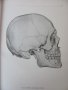 1971г. Медицинска Книга Анатомичен Атлас Том1-ви, снимка 7