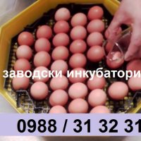 Заводски румънски инкубатор КЛЕО 5 за пилета. Инкубатори за яйца с дисплей ., снимка 3 - Други стоки за животни - 23646506