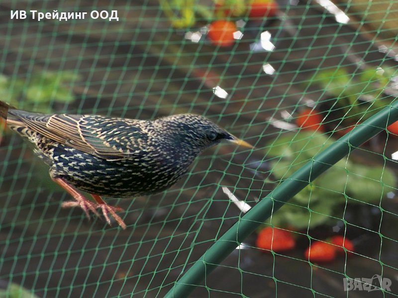 Мрежа за предпазване от  птици Пловдив, снимка 1
