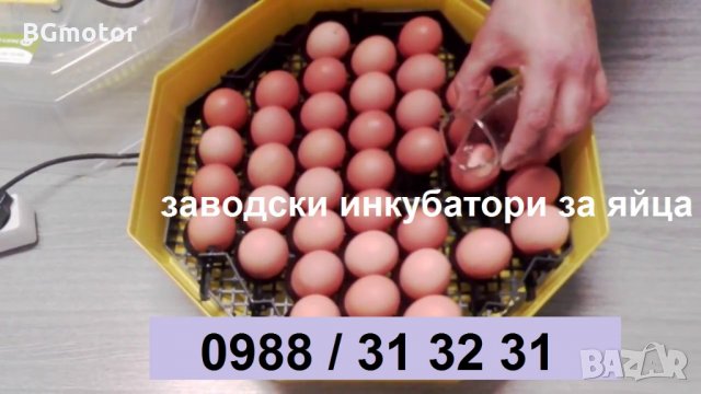 Заводски румънски инкубатор КЛЕО 5 за пилета. Инкубатори за яйца с дисплей ., снимка 3 - Други стоки за животни - 23646506
