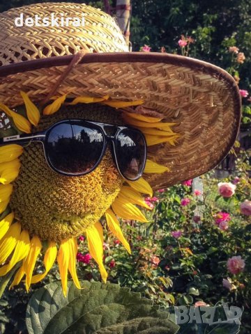 Купувам земеделска земя в Община Димитровград, снимка 2 - Земеделска земя - 24688730