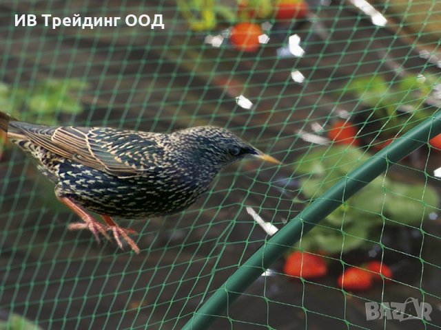 Мрежа за предпазване от  птици Пловдив