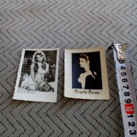 Стара снимка,картичка Бриджит Бардо,Brigite Bardott, снимка 4 - Антикварни и старинни предмети - 25791187