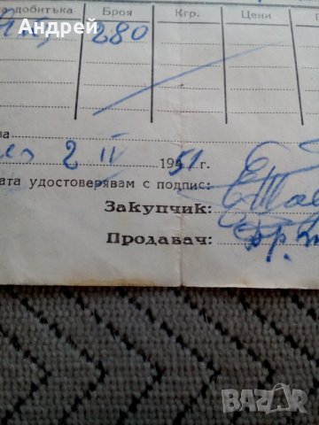 Стара покупателна бележка 1951, снимка 3 - Антикварни и старинни предмети - 23978641