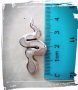  сребърна змия инкрустирана със седеф 8.10 грама, снимка 3