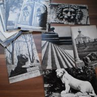 Лот от картички "львы стерегут город" 24 картички 1979г., снимка 1 - Други ценни предмети - 11498030