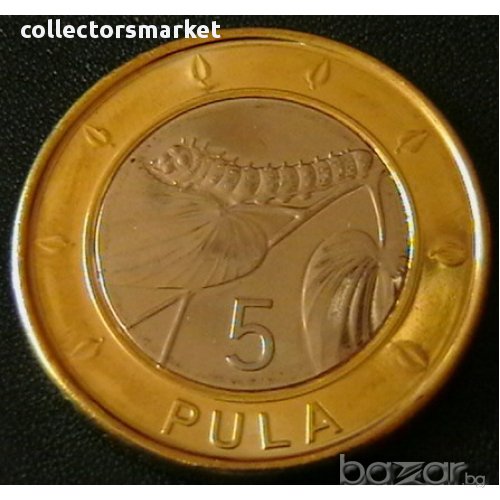 5 пула 2013, Ботсвана, снимка 1