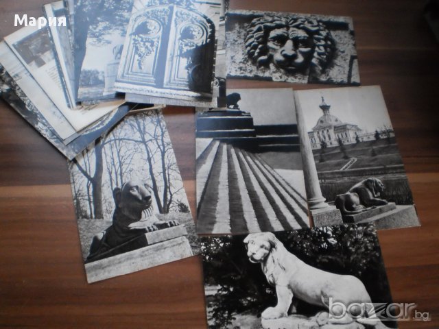 Лот от картички "львы стерегут город" 24 картички 1979г.