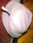  Зимна шапка Jean Paul 100%вълна размер 1 детска, снимка 8