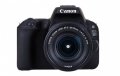 Canon EOS 1300D + обектив CANON EF-S 18-55 f/3.5-5.6 IS II , снимка 17