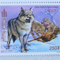  Вълк-4 марки, 2000 г., Монголия, снимка 2 - Филателия - 24264936