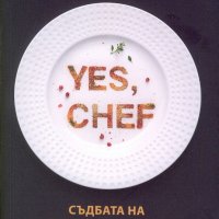 Yes, chef. Съдбата на един звезден готвач, снимка 1 - Художествена литература - 22912024