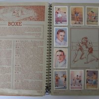 1935-36г. Колекционерски Албум Nestle, снимка 7 - Антикварни и старинни предмети - 25862811