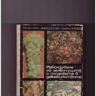 Използване на зеленчуците и плодовете в домакинството, снимка 1 - Художествена литература - 10626209