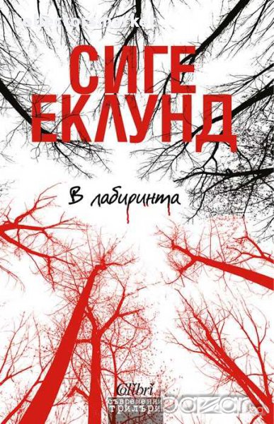 В лабиринта, снимка 1