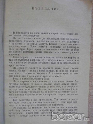 Книга "Въглища - Диего Муньос" - 218 стр., снимка 4 - Художествена литература - 8079800