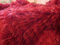 Червен китеник вълна, снимка 2