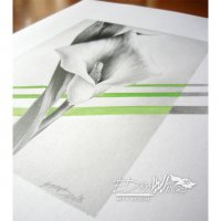 Рисунка "Кала" - молив и акварел, снимка 5 - Картини - 22223900