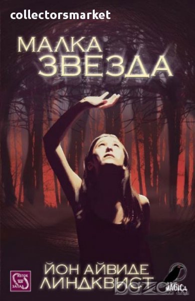 Малка звезда , снимка 1