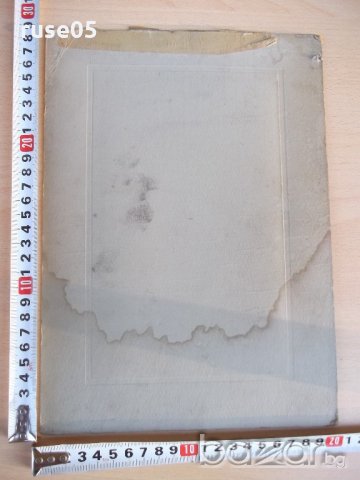 Снимка на достолепна госпожа стара, снимка 2 - Други ценни предмети - 19306964