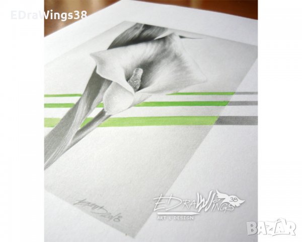 Картина "Цвете Кала" Рисунка с молив и акварел, снимка 5 - Картини - 22223900