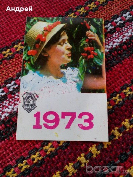 Календарче ДЗИ 1973, снимка 1