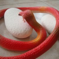 " Червена змия "  - реалистична силиконова змия, снимка 7 - Други - 21533063