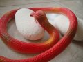 " Червена змия "  - реалистична силиконова змия, снимка 7