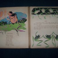 "Голямата баница" от Асен Разцветников издание 1949г., снимка 7 - Детски книжки - 21698452