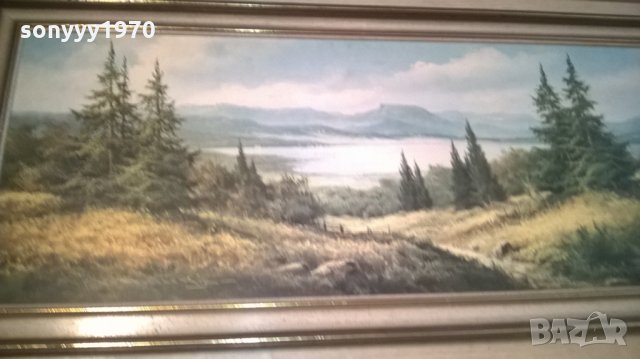 картина с рамка-внос швеицария-111х51см, снимка 9 - Колекции - 25516623