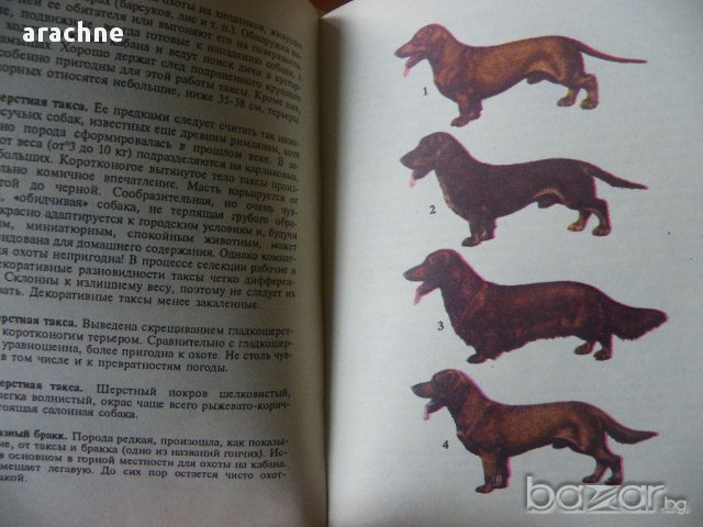 Луксозен каталог за кучета, снимка 3 - Художествена литература - 17373071
