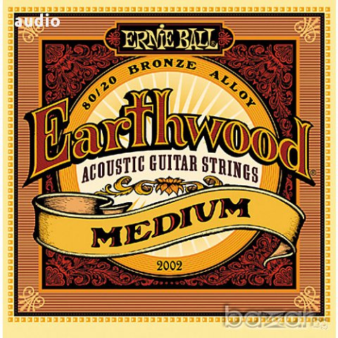 Струни за акустична китара Ernie Ball 2002