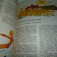 Пътуване в икономиката - детско-юношеска книга , снимка 4 - Детски книжки - 15355731