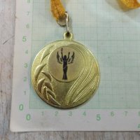 Медал "Купа Никола Йорданов - Русе 6 и 7 юни 2015", снимка 3 - Други ценни предмети - 23809018