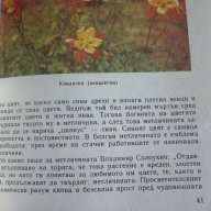 Дъга от цветя - Евгения Черней, Леонила Ширева, снимка 7 - Художествена литература - 13663003