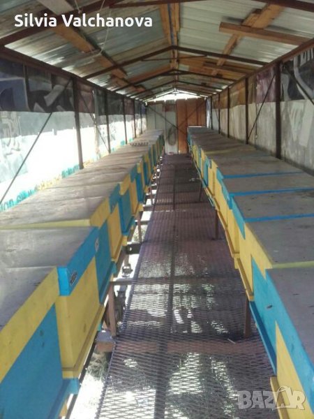 пчеларска платформа 14м., снимка 1