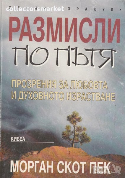 Размисли по пътя , снимка 1