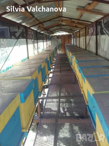 пчеларска платформа 14м.