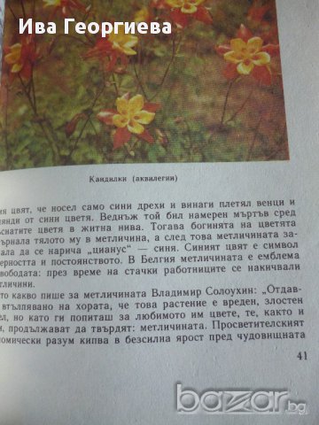 Дъга от цветя - Евгения Черней, Леонила Ширева, снимка 7 - Художествена литература - 13663003