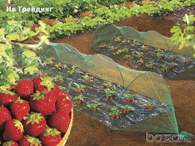 Мрежа за предпазване от  птици Пловдив, снимка 2 - Градински цветя и растения - 16832018