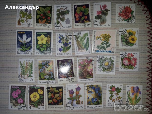 Пощенски марки, снимка 1 - Филателия - 20485351