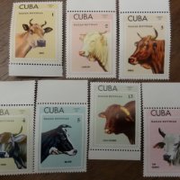 Куба 1973 - Фауна, породи говеда, снимка 2 - Филателия - 24345935