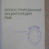 Книга "Иллюстрированная энциклопедия рыб-Ст.Франк"-560 стр., снимка 7 - Специализирана литература - 7828020