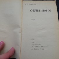 Сляпа любов - Виктор Притчет, снимка 2 - Художествена литература - 24599219