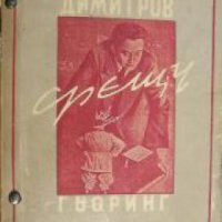 Димитров срещу Гьоринг: Втора част на Кафявата книга , снимка 1 - Други - 21860812