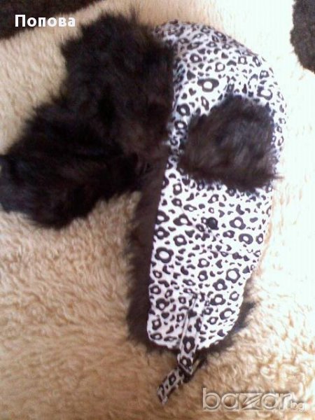 Топла   ушанка, снимка 1