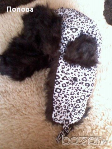 Топла   ушанка